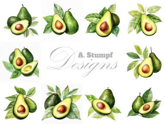 Download Avocado Watercolor Fruit Clipart Set - Color Collection