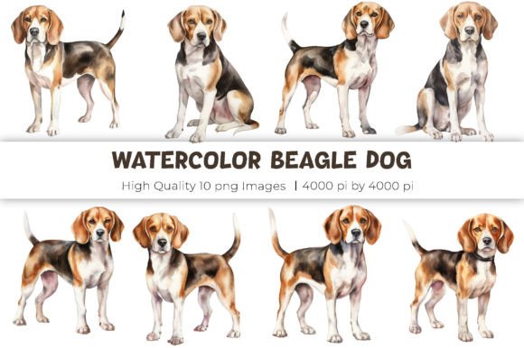 Download Watercolor Beagle Dog Clipart - Color Collection