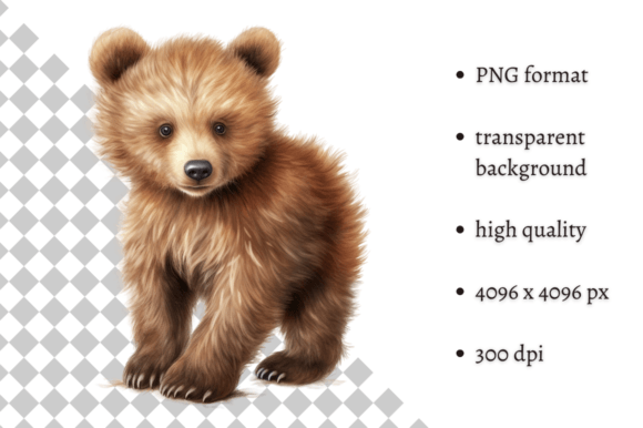 Download Watercolor Baby Bear PNG Clipart - Color Collection