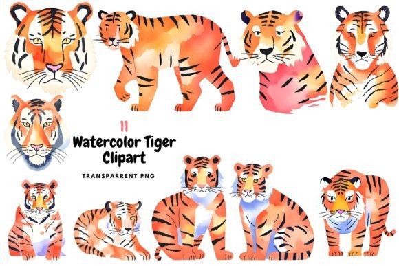 Download Watercolor Tiger Clipart PNG - Color Collection