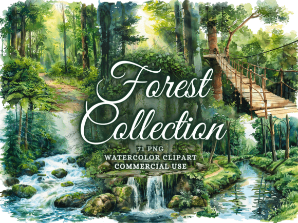 Download Watercolor Forest Clipart - Woodland Png - Color Collection