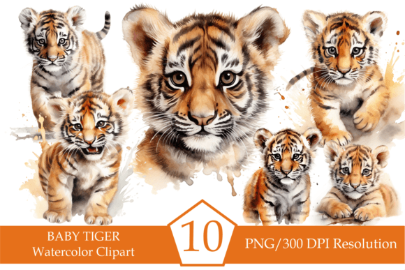 Download Watercolor Baby Tiger Clipart, Tigers - Color Collection