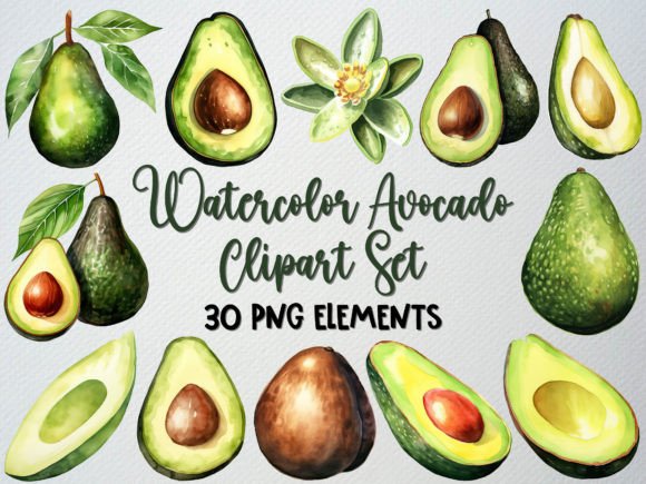 Download Watercolor Avocado Clipart Set, 30 PNG - Color Collection