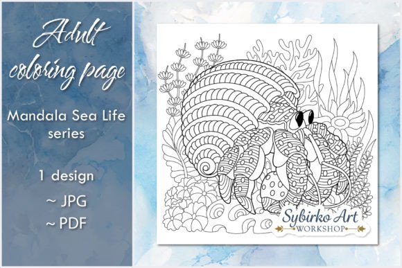 Download Hermit Crab in Shell Adult Coloring Page - Color Collection
