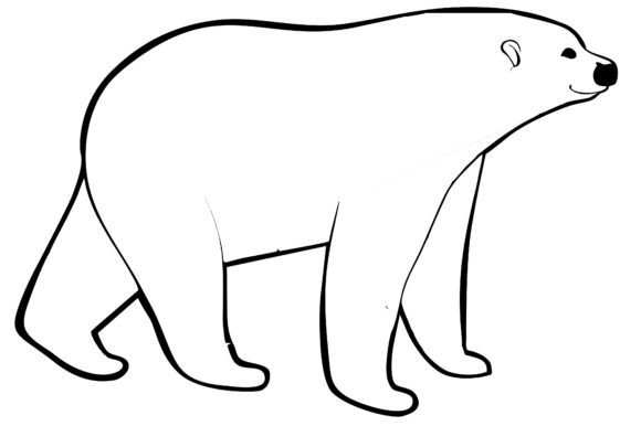 Download Polar Bear Line Art Coloring - Color Collection
